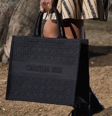 Dior Spring 2020 Introduces The Book Tote in a Smaller Size