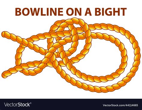 Bowline on a bight isolated on white household Vector Image