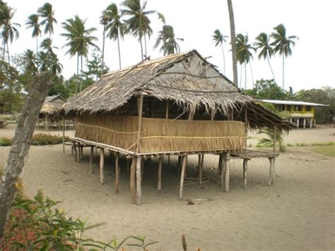 Papua New Guinea Traditional Housing