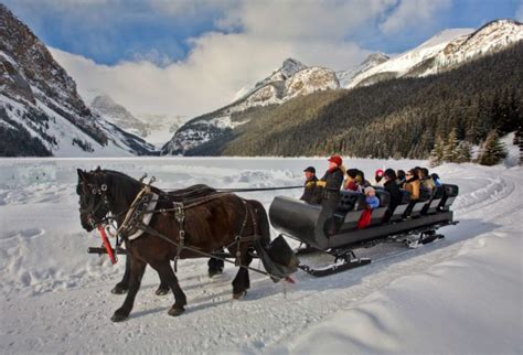 Sleigh Rides in Banff - Lake Louise - Banff National Park