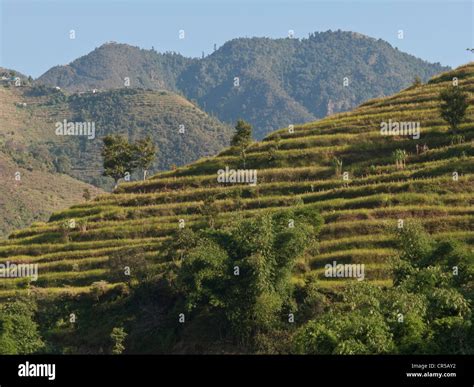 Hilly region of nepal hi-res stock photography and images - Alamy