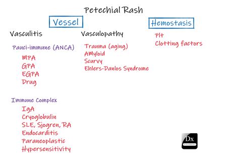 Petechial Rash – The Clinical Problem Solvers