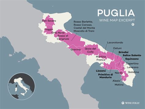 Puglia Wine is Italy's Secret to Value | Wine Folly | Wine folly, Wine map, Puglia