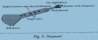 Kenya Indigenous Musical Instrument - CBC Grade 5 Music Revision Notes