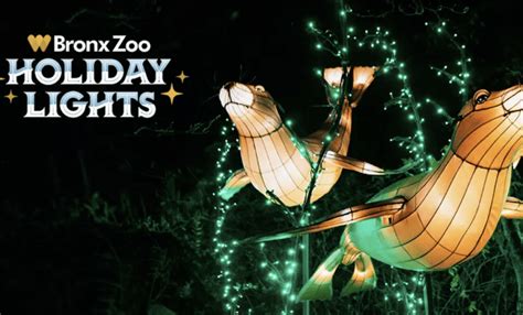 Bronx Zoo Holiday Lights Discount Tickets: $24.25 - Any Tots