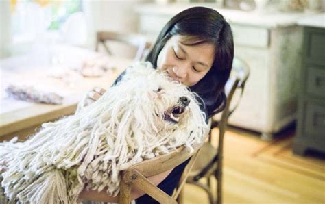 Priscilla Chan Family - Husband, Daughter, Parents, Sisters, Bio ...