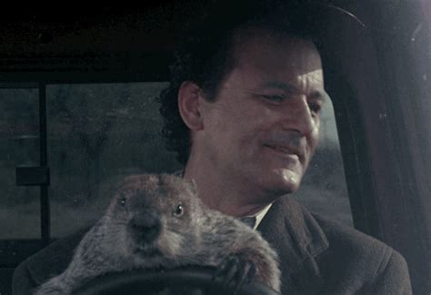 Bill murray groundhog day GIF - Find on GIFER