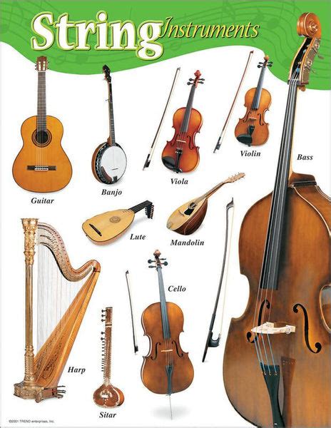 Chart String Instruments Gr K-8 17 x 22 | T-38103 – SupplyMe