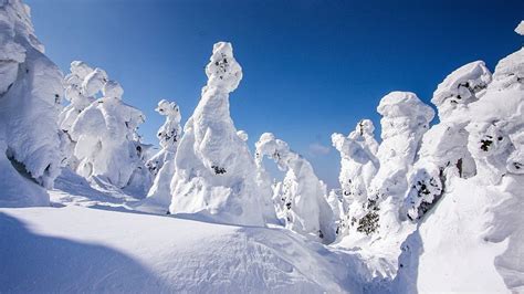 Zao Onsen Ski Resort - Zao Travel