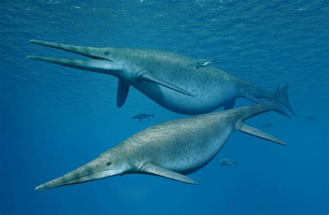 UK giant ichthyosaur is one of the largest animals ever