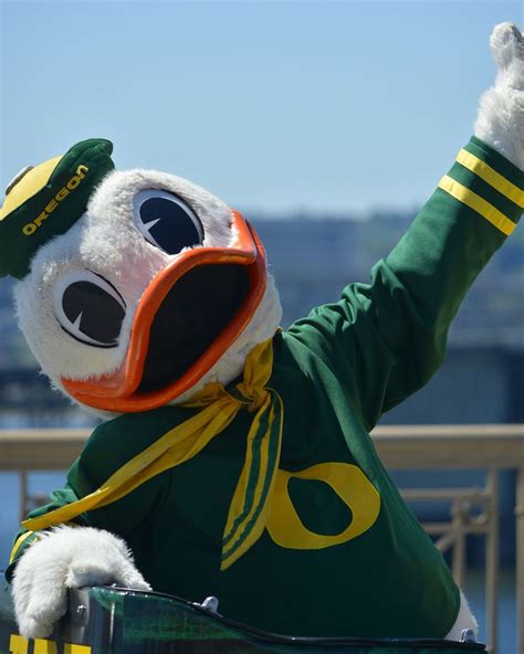 BEST MASCOT EVER - THE OREGON DUCK! | Oregon ducks, Oregon ducks logo ...