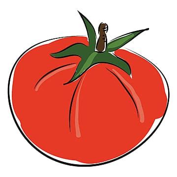 Tomato Cartoon PNG Transparent Images Free Download | Vector Files | Pngtree