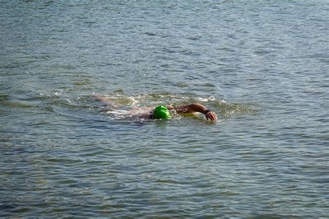 Person Swimming in Water · Free Stock Photo