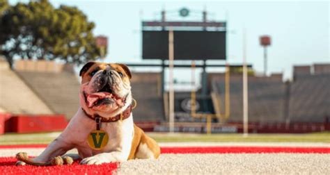 Fresno State Bulldogs Launches “For the V” Campaign