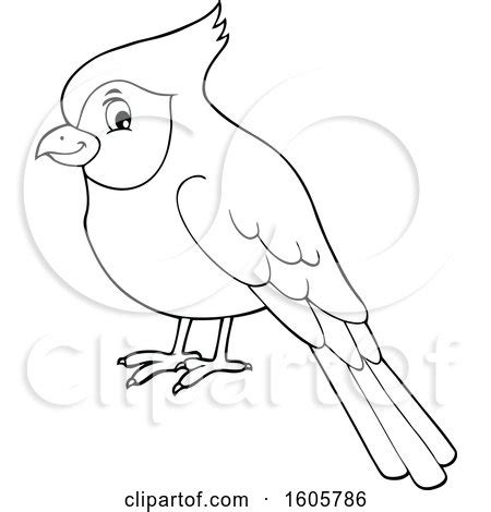 Clipart of a Black and White Cardinal Bird - Royalty Free Vector ...