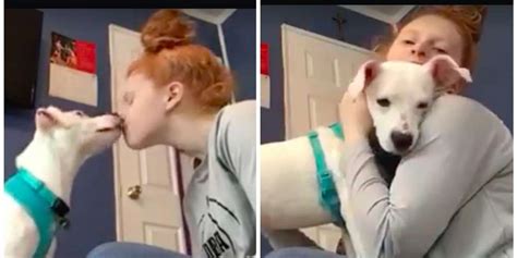 Deaf Woman Teaches Her Newly Adopted Deaf Dog The Sign For 'I Love You ...