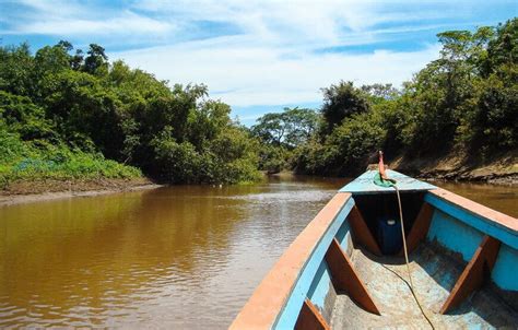 Pampas Wildlife Tour from Rurrenabaque - 3 Days - Travexplora