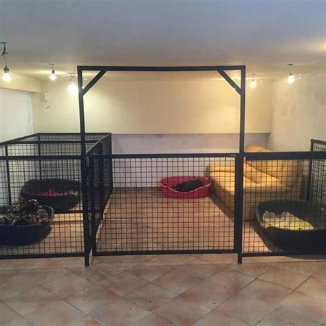 Pin on MAXIMUS! | Diy dog kennel, Dog rooms, Puppy room