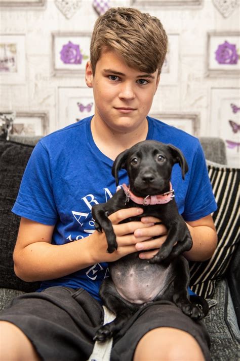 Extraordinary puppy born with six legs finds loving new home | Metro News