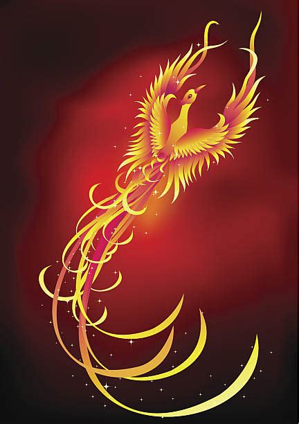 Phoenix Bird Clip Art, Vector Images & Illustrations - iStock