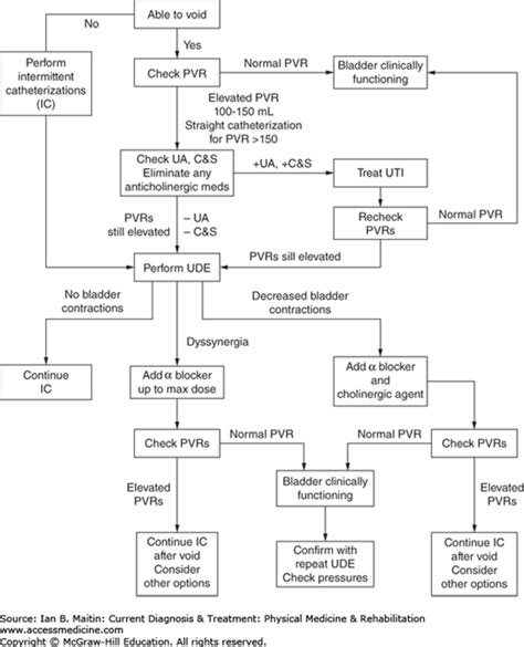 Neurogenic Bowel & Bladder | Musculoskeletal Key