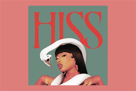 Megan Thee Stallion's "HISS" is a Warning to Her Haters | TIME