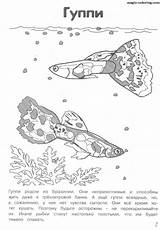 Magic Coloring  Guppy sketch template