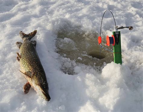 Ice Fishing Pike in 2023: Our Favorite Tips and Tricks