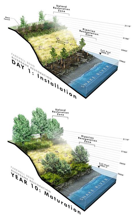 Riverbank Stabilization at Farewell Bend State Park | Landscape architecture diagram, Landscape ...