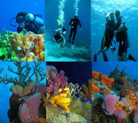 Dive Cozumel – Go Tour Cozumel