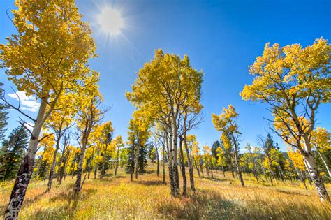 Golden Gate Canyon State Park - Adam Sivakoff