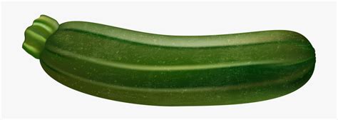 Free Zucchini Cliparts, Download Free Zucchini Cliparts png images, Free ClipArts on Clipart Library