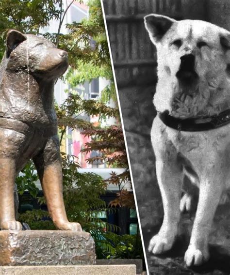 Amanda Keller Brings To Our Attention Japan's Hachiko Dog Statue