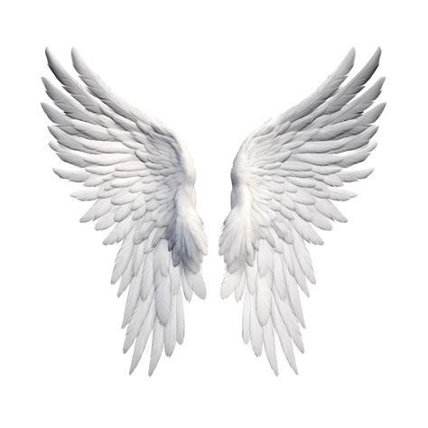 Vector Angel Wings Png Image Png Mart - vrogue.co