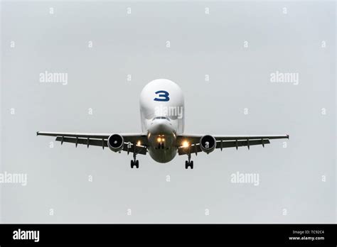 Airbus Beluga aircraft landing Stock Photo - Alamy