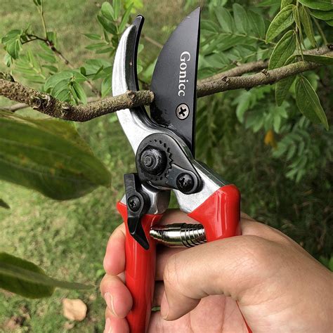 8 Essential Gardening Tools For Beginners