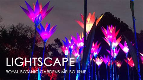 LIGHTSCAPE – Royal Botanic Gardens Melbourne - YouTube