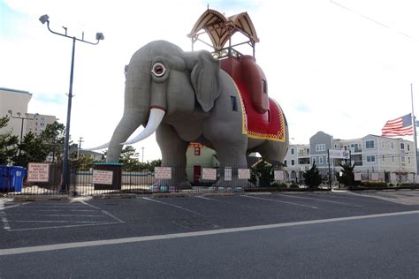 Tall tale: How Lucy the Elephant became a Jersey Shore icon - WHYY