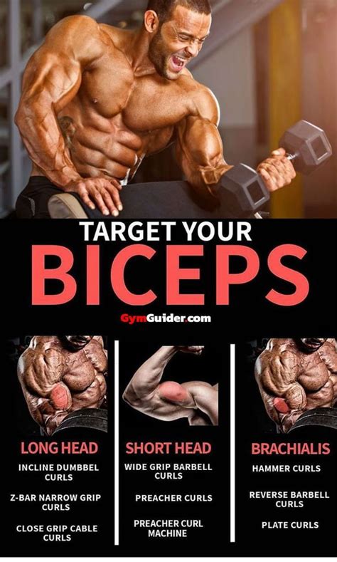 Biceps Workout That Will Have You Bursting Through Your Sleeves - GymGuider.com | Biceps workout ...