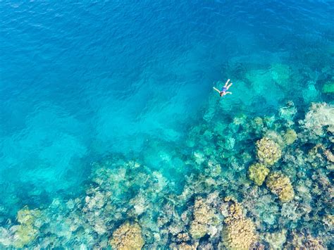 A Guide to Diving in Wakatobi