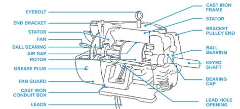 The essential guide to electric motor failure | Duke Electric