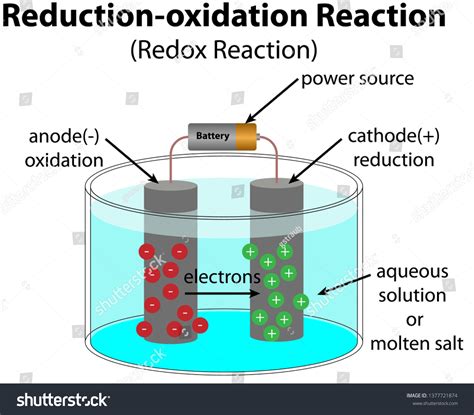 679 Redox Images, Stock Photos & Vectors | Shutterstock