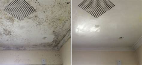 Mould treatment costs - Melbourne Cleaners