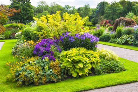 38 Clever Backyard Shrub Garden Ideas | Backyard trees, Natural landscaping, Amazing gardens