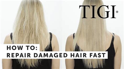 Details 64+ can damaged hair be repaired - in.eteachers