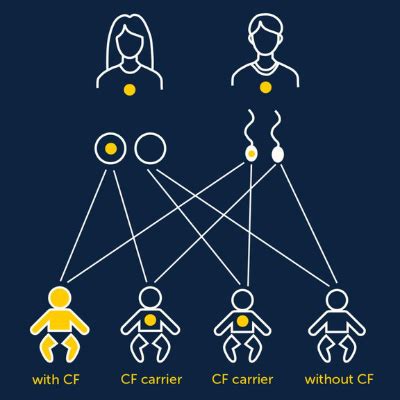 Cascade screening and family genetic testing for cystic fibrosis