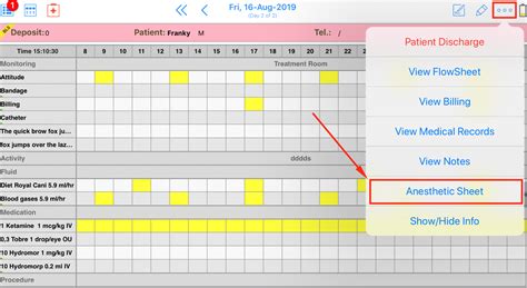 How can I prepare an Anesthetic Sheet and start anesthesia? : IDEXX SmartFlow Support