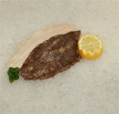 Lemon Sole Fillet | Quayside Fish