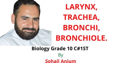 Larynx | Trachea | Bronchi | Bronchiole | Biology Class 10 | Chapter One - YouTube