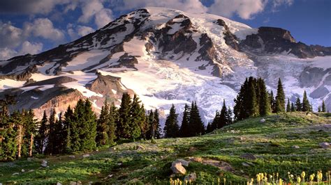 Mt Rainier Wallpaper - WallpaperSafari